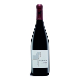 Vallegarcía syrah