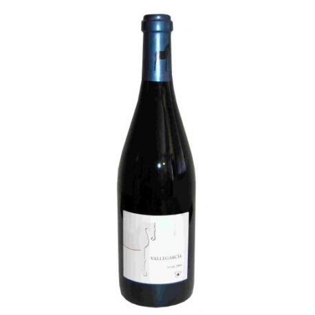 Vallegarcía Syrah