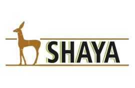 Shaya